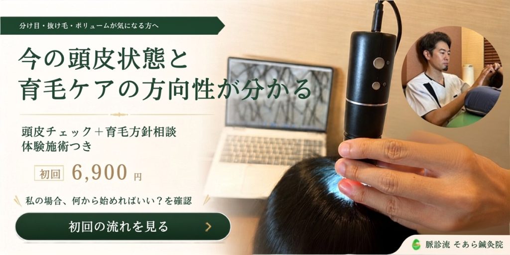 薄毛・抜け毛が気になる方向けの頭皮チェックと育毛鍼灸の初回案内